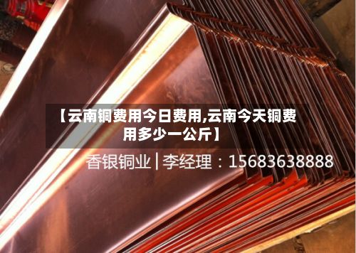 【云南铜费用今日费用,云南今天铜费用多少一公斤】-第3张图片