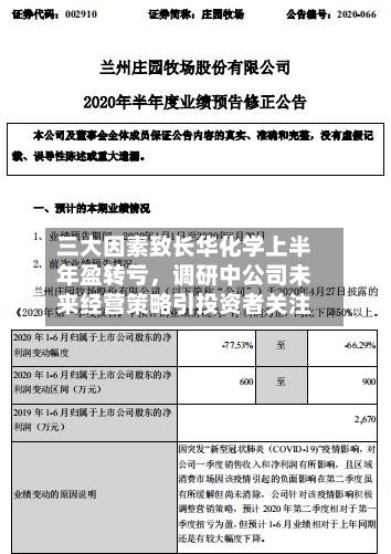 三大因素致长华化学上半年盈转亏,调研中公司未来经营策略引投资者关注