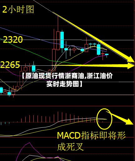 【原油现货行情浙商油,浙江油价实时走势图】-第2张图片