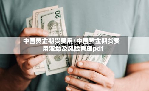 中国黄金期货费用/中国黄金期货费用波动及风险管理pdf-第2张图片