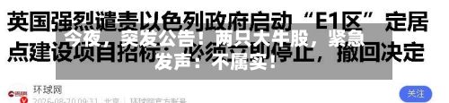今夜，突发公告！两只大牛股	，紧急发声：不属实！-第2张图片