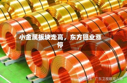 小金属板块走高	，东方钽业涨停-第2张图片