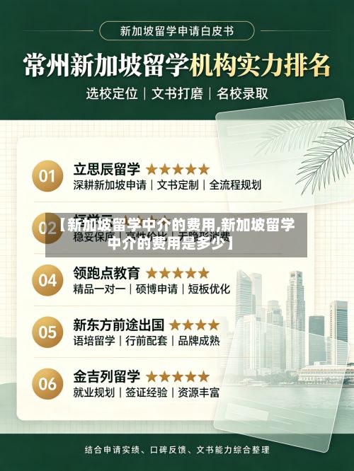 【新加坡留学中介的费用,新加坡留学中介的费用是多少】-第3张图片