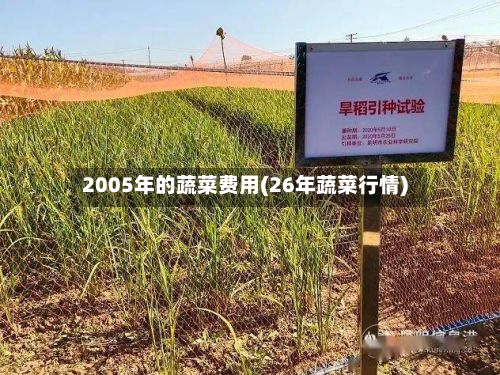2005年的蔬菜费用(26年蔬菜行情)