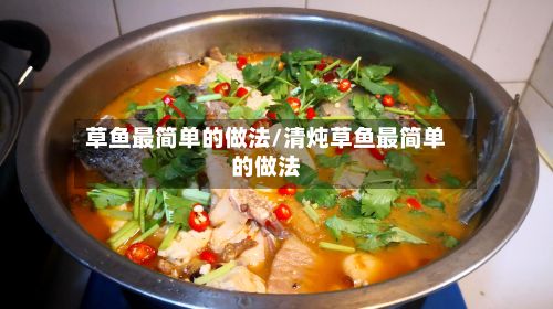 草鱼最简单的做法/清炖草鱼最简单的做法
