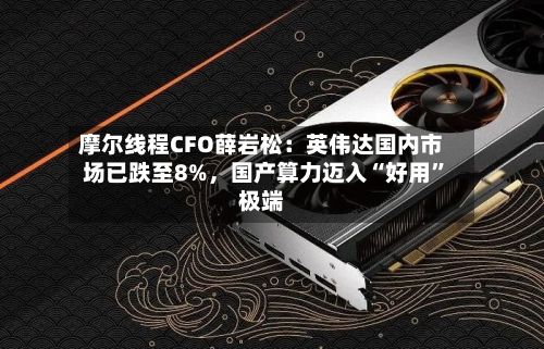 摩尔线程CFO薛岩松：英伟达国内市场已跌至8%，国产算力迈入“好用	”极端-第2张图片
