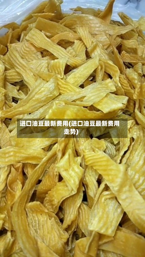 进口油豆最新费用(进口油豆最新费用走势)