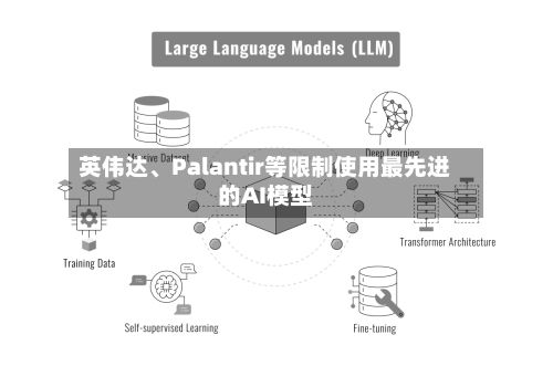 英伟达、Palantir等限制使用最先进的AI模型-第2张图片