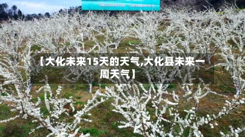 【大化未来15天的天气,大化县未来一周天气】-第2张图片