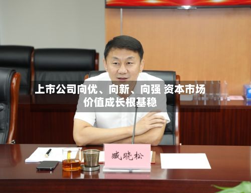 上市公司向优、向新	、向强 资本市场价值成长根基稳-第2张图片