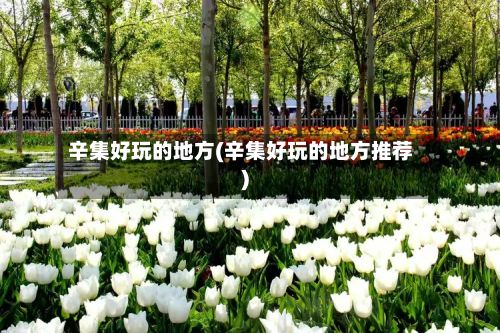 辛集好玩的地方(辛集好玩的地方推荐)-第3张图片