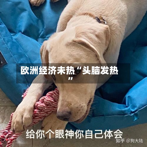 欧洲经济未热“头脑发热”-第2张图片
