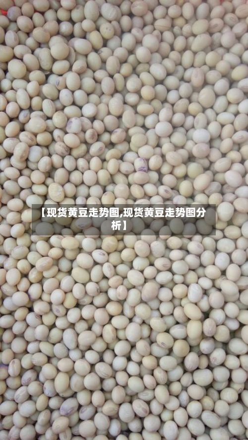 【现货黄豆走势图,现货黄豆走势图分析】-第2张图片