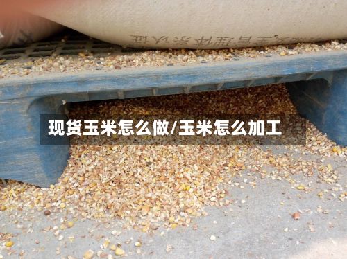 现货玉米怎么做/玉米怎么加工-第2张图片