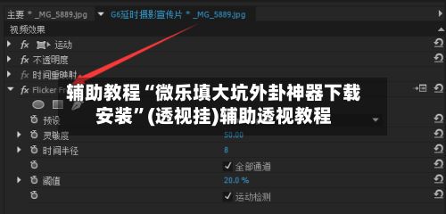 辅助教程“微乐填大坑外卦神器下载安装”(透视挂)辅助透视教程