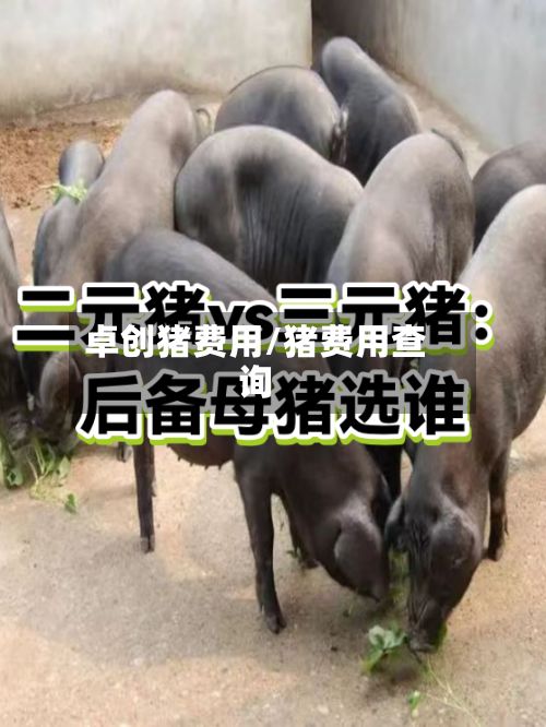 卓创猪费用/猪费用查询