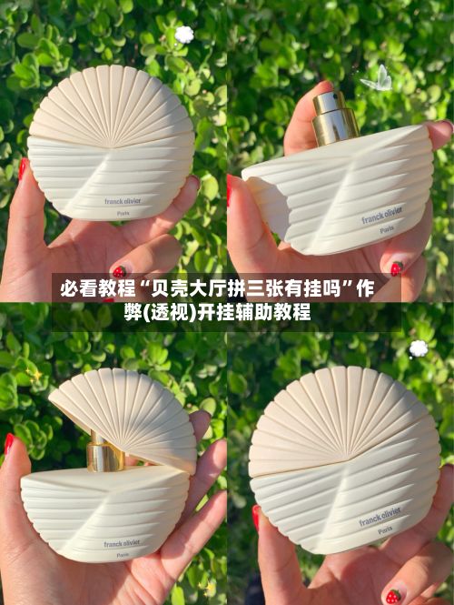 必看教程“贝壳大厅拼三张有挂吗”作弊(透视)开挂辅助教程-第2张图片