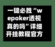 一键必胜“wepoker透视真的吗	”详细开挂教程官方正版下载-第3张图片
