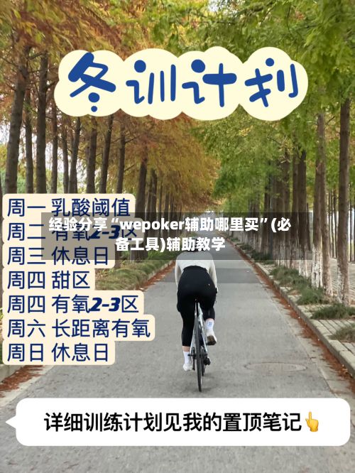 经验分享“wepoker辅助哪里买”(必备工具)辅助教学-第3张图片