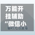 万能开挂辅助“微信小程序雀神辅助器安装包教程”揭秘透视辅助万能挂-第2张图片