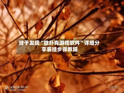 终于发现“微扑克游戏软件”详细分享装挂步骤教程-第2张图片