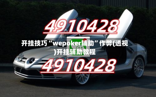 开挂技巧“wepoker辅助”作弊(透视)开挂辅助教程-第3张图片