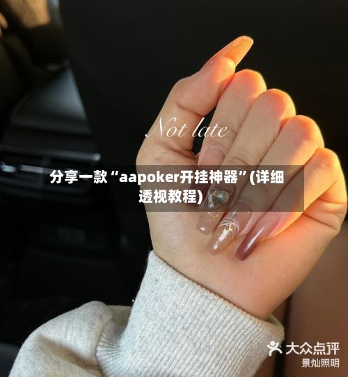 分享一款“aapoker开挂神器”(详细透视教程)-第3张图片
