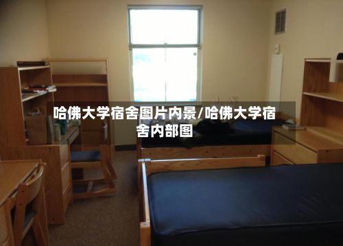 哈佛大学宿舍图片内景/哈佛大学宿舍内部图