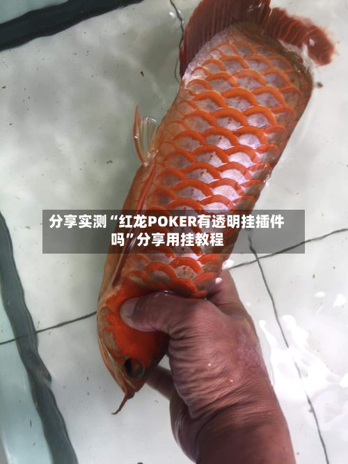 分享实测“红龙POKER有透明挂插件吗”分享用挂教程-第3张图片