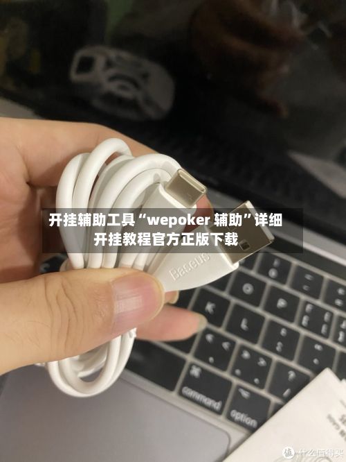 开挂辅助工具“wepoker 辅助”详细开挂教程官方正版下载-第2张图片