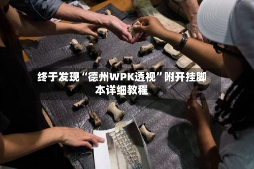 终于发现“德州WPK透视	”附开挂脚本详细教程-第2张图片