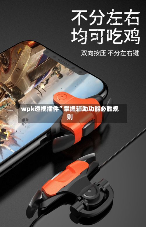 wpk透视插件”掌握辅助功能必胜规则-第2张图片