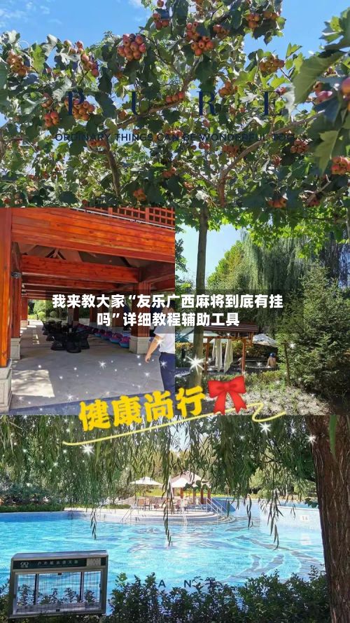 我来教大家“友乐广西麻将到底有挂吗”详细教程辅助工具-第2张图片