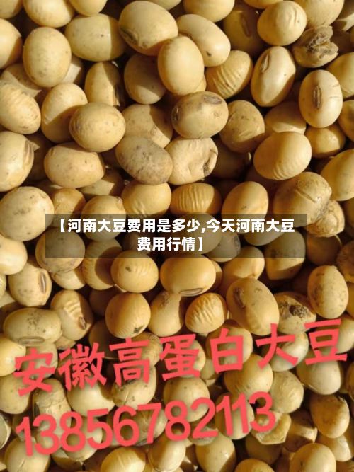 【河南大豆费用是多少,今天河南大豆费用行情】-第2张图片