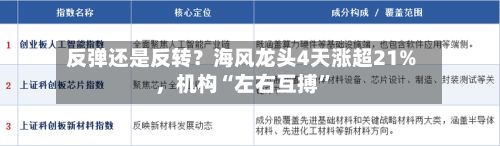 反弹还是反转？海风龙头4天涨超21%，机构“左右互搏”-第2张图片