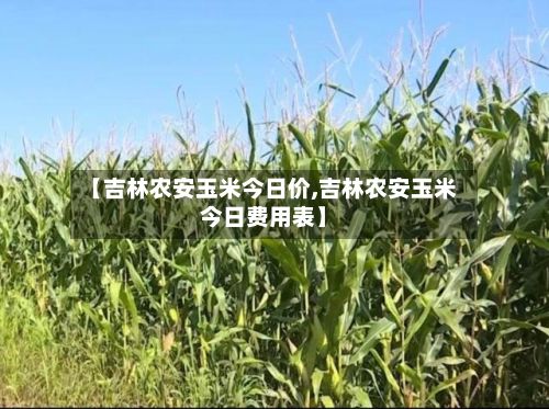【吉林农安玉米今日价,吉林农安玉米今日费用表】