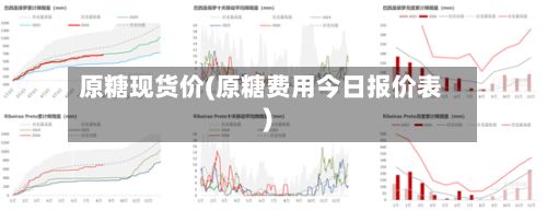 原糖现货价(原糖费用今日报价表)