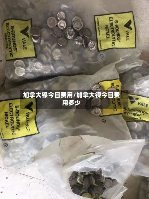 加拿大镍今日费用/加拿大镍今日费用多少-第1张图片