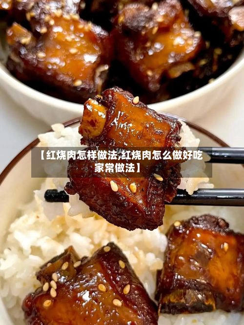【红烧肉怎样做法,红烧肉怎么做好吃家常做法】