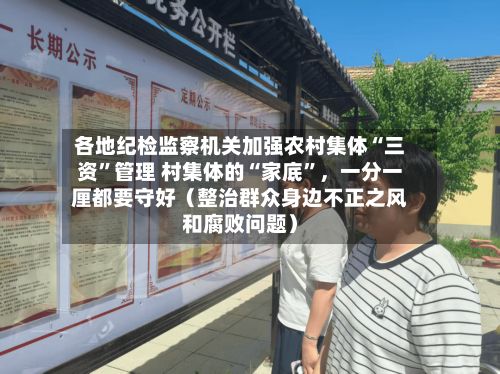 各地纪检监察机关加强农村集体“三资”管理 村集体的“家底”，一分一厘都要守好（整治群众身边不正之风和腐败问题）-第3张图片
