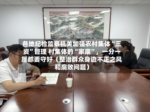 各地纪检监察机关加强农村集体“三资”管理 村集体的“家底	”	，一分一厘都要守好（整治群众身边不正之风和腐败问题）-第2张图片
