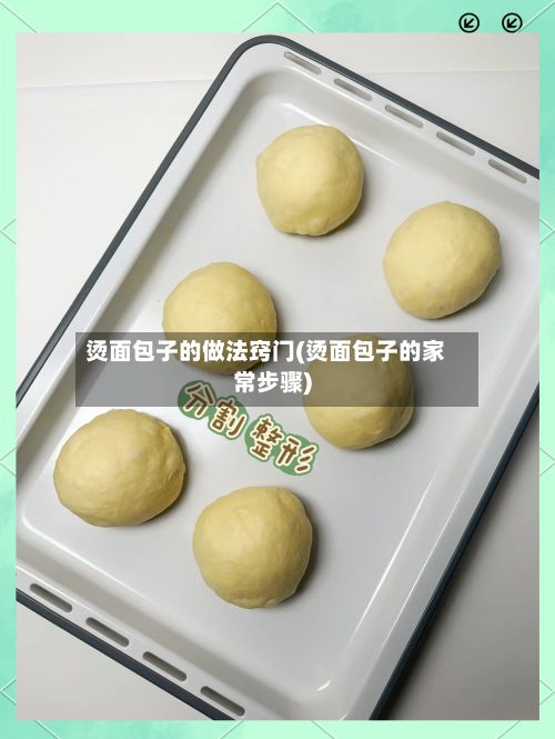 烫面包子的做法窍门(烫面包子的家常步骤)