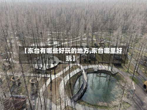 【东台有哪些好玩的地方,东台哪里好玩】-第2张图片