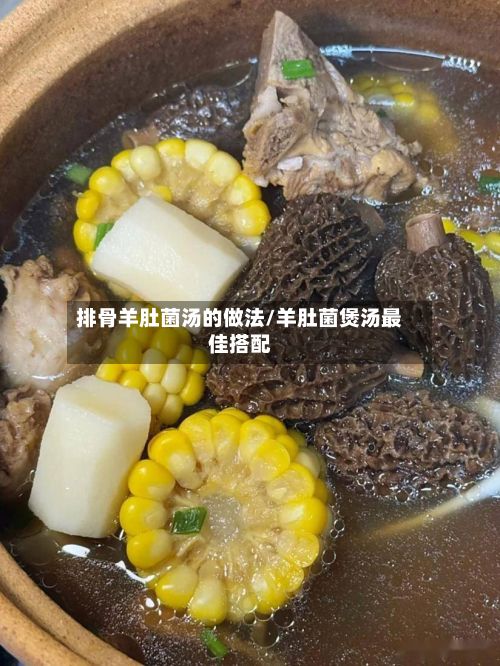 排骨羊肚菌汤的做法/羊肚菌煲汤最佳搭配-第3张图片