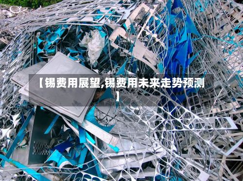 【锡费用展望,锡费用未来走势预测】