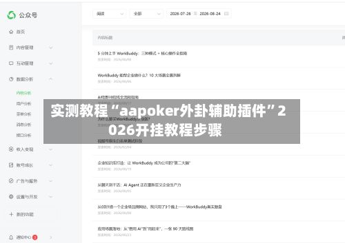实测教程“aapoker外卦辅助插件”2026开挂教程步骤-第3张图片