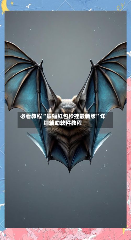 必看教程“蝙蝠红包秒挂最新版”详细辅助软件教程-第2张图片