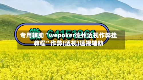 专用辅助“wepoker德州透视作弊挂教程”作弊(透视)透视辅助-第2张图片