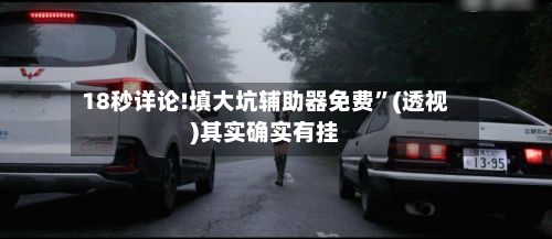 18秒详论!填大坑辅助器免费”(透视)其实确实有挂-第3张图片