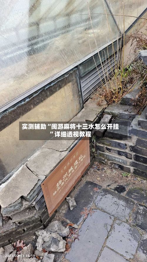 实测辅助“闽游麻将十三水怎么开挂”详细透视教程-第2张图片